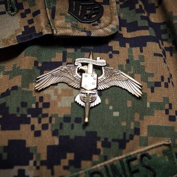 アメリカ海兵隊特殊作戦コマンド章（MARSOC）[カラー/燻し金/バッジ]の画像