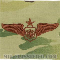 空中戦闘管制章 (シニア)（Air Battle Manager Badge, Senior）[OCP/ブラウン刺繍/パッチ]画像