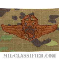 空中戦闘管制章 (マスター)（Air Battle Manager Badge, Master）[OCP/ブラウン刺繍/パッチ]の画像