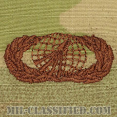 調達・財務管理章 (ベーシック)（Acquisition and Financial Management Badge, Basic）[OCP/ブラウン刺繍/パッチ]の画像