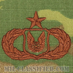 作戦支援章 (シニア)（Operations Support Badge, Senior）[OCP/ブラウン刺繍/パッチ]の画像
