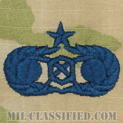 緊急管理章 (シニア)（Emergency Management Badge, Senior）[OCP/宇宙軍ブルー刺繍/パッチ]画像