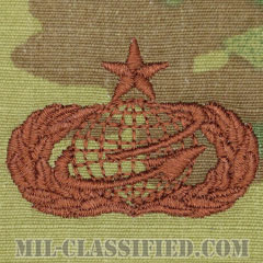 人材・人事章 (シニア)（Manpower and Personnel Badge, Senior）[OCP/ブラウン刺繍/パッチ]画像