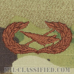 歴史家章 (ベーシック)（Historian Badge, Basic）[OCP/ブラウン刺繍/パッチ]の画像