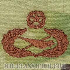 歴史家章 (マスター)（Historian Badge, Master）[OCP/ブラウン刺繍/パッチ]の画像