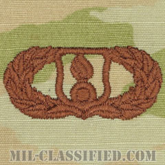 弾薬章 (ベーシック)（Munitions Badge, Basic）[OCP/ブラウン刺繍/パッチ]の画像