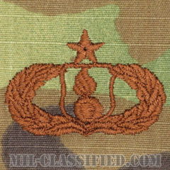 弾薬章 (シニア)（Munitions Badge, Senior）[OCP/ブラウン刺繍/パッチ]の画像