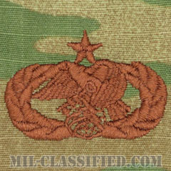 兵站即応章 (シニア)（Logistics Readiness Badge, Senior）[OCP/ブラウン刺繍/パッチ]画像