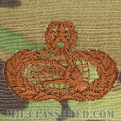 通信・情報管理章 (マスター)（Communications and Information Management Badge, Master）[OCP/ブラウン刺繍/パッチ]の画像