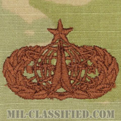 宇宙ミサイル章 (シニア)（Space and Missile Badge, Senior）[OCP/ブラウン刺繍/パッチ]画像