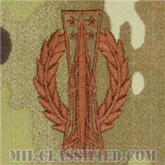 ミサイル運用章 (ベーシック)（Missile Operations Badge, Basic）[OCP/ブラウン刺繍/パッチ]の画像