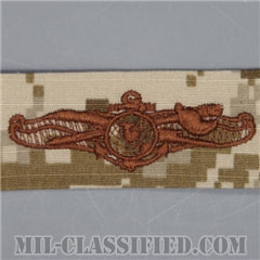 Enlisted Information Dominance Warfare Specialist [NWU Type2（AOR1）/生地テープパッチ]の画像