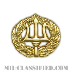 Command Ashore/Project Manager [カラー/ミニサイズ/バッジ]の画像