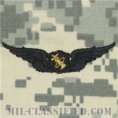 宇宙飛行士章 (ベーシック)（Army Astronaut Pilot Badge, Basic）[UCP（ACU）/パッチ]画像