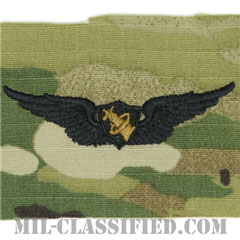 宇宙飛行士章 (ベーシック)（Army Astronaut Pilot Badge, Basic）[OCP（7C）/パッチ]の画像