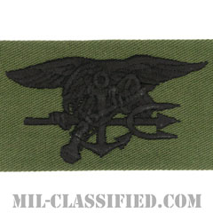 Special Warfare (SEAL)[サブデュード/生地テープパッチ]の画像