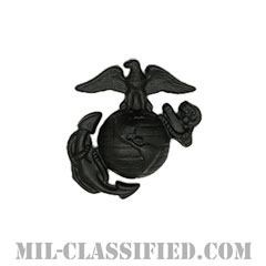 ★アメリカ軍＊ＣＡＰ/民間航空パトロール＊士官候補生肩章（実物） ☆アメリカ軍＊CAP/民間航空パトロール＊士官候補生肩章