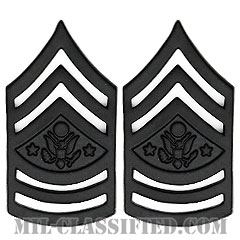陸軍最先任上級曹長（Sergeant Major of the Army (SMA)）[サブデュード（ブラックメタル）/階級章/バッジ/ペア（2個1組）]画像
