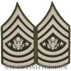 陸軍最先任上級曹長（Sergeant Major of the Army (SMA)）[AGSU/メロウエッジ/階級章（男性用）/パッチ/ペア（2枚1組）]画像