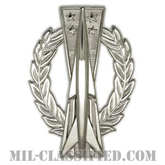 ミサイル運用章 (ベーシック)（Missile Operations Badge, Basic）[カラー/鏡面仕上げ/バッジ]の画像