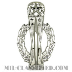 ミサイル運用章 (マスター)（Missile Operations Badge, Master）[カラー/鏡面仕上げ/バッジ]の画像