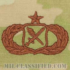 作戦研究章 (シニア・オペレーションズ・リサーチ)（Operations Research Analyst Badge, Senior）[OCP/ブラウン刺繍/パッチ]画像