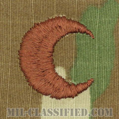 イスラム教従軍牧師章（Chaplain Badge, Muslim）[OCP/ブラウン刺繍/パッチ]の画像