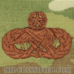 兵站章 (マスター)（Logistics Plans Badge, Master）[OCP/ブラウン刺繍/パッチ]の画像