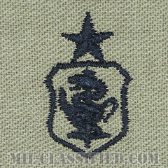 看護章 (シニア)（Nurse Corps Badge, Senior）[ABU/パッチ]の画像