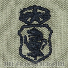 看護章 (チーフ)（Nurse Corps Badge, Chief）[ABU/パッチ]の画像