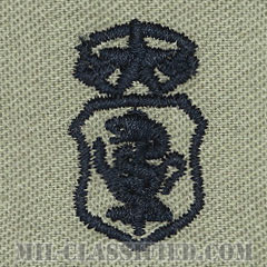 看護章 (チーフ)（Nurse Corps Badge, Chief）[ABU/パッチ]画像