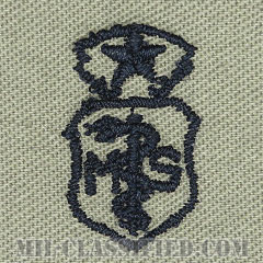 衛生業務章 (チーフ)（Medical Service Corps Badge, Chief）[ABU/パッチ]画像