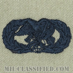 兵站即応章 (ベーシック)（Logistics Readiness Badge, Basic）[ABU/パッチ]の画像