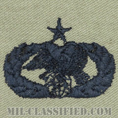 兵站即応章 (シニア)（Logistics Readiness Badge, Senior）[ABU/パッチ]の画像