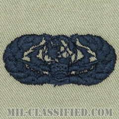 サイバースペース支援章 (ベーシック)（Cyberspace Support Badge, Basic）[ABU/パッチ]の画像