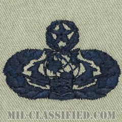 サイバースペース支援章 (マスター)（Cyberspace Support Badge, Master）[ABU/パッチ]の画像