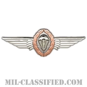 ドイツ連邦共和国 (西ドイツ) 軍空挺章 (ブロンズ)（Foreign Parachutist Badge, West Germany, Bronze）[カラー/バッジ]画像
