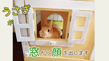 壱番館　北欧デザインペットハウス【一般のお客様専用】の画像