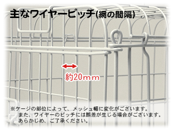 三晃 ライトキャリー 【返品区分B】 の画像