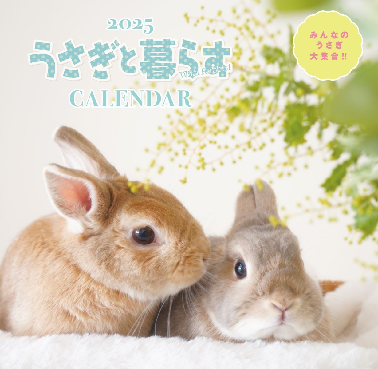 うさぎと暮らすCALENDAR2025【2025年版カレンダー】 【返品区分B】の画像