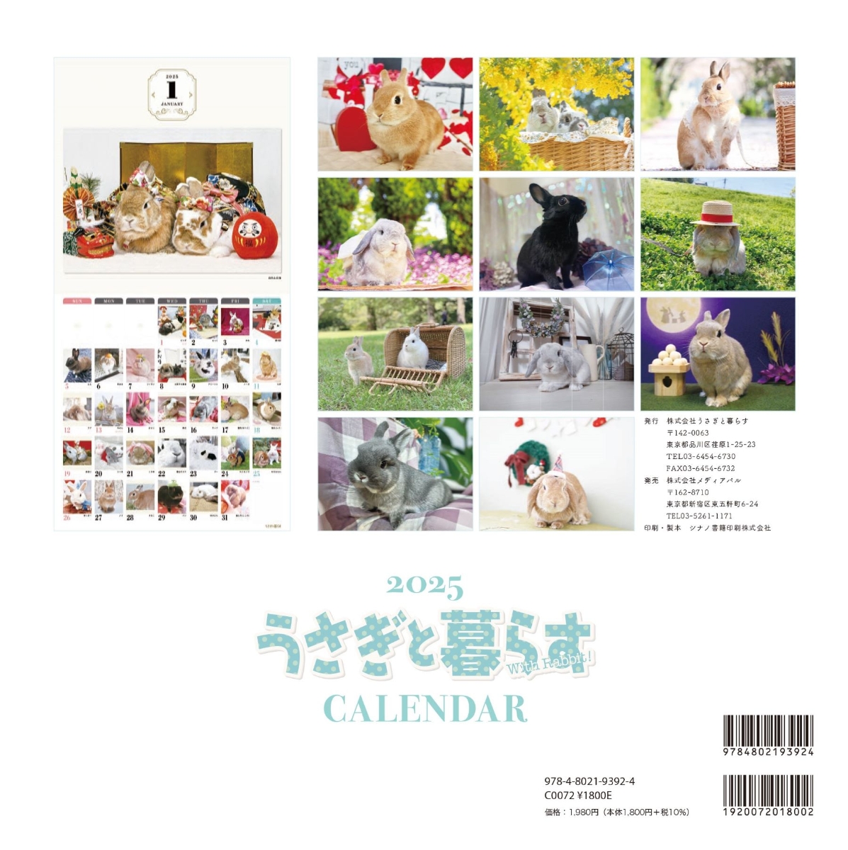 うさぎと暮らすCALENDAR2025【2025年版カレンダー】 【返品区分B】の画像