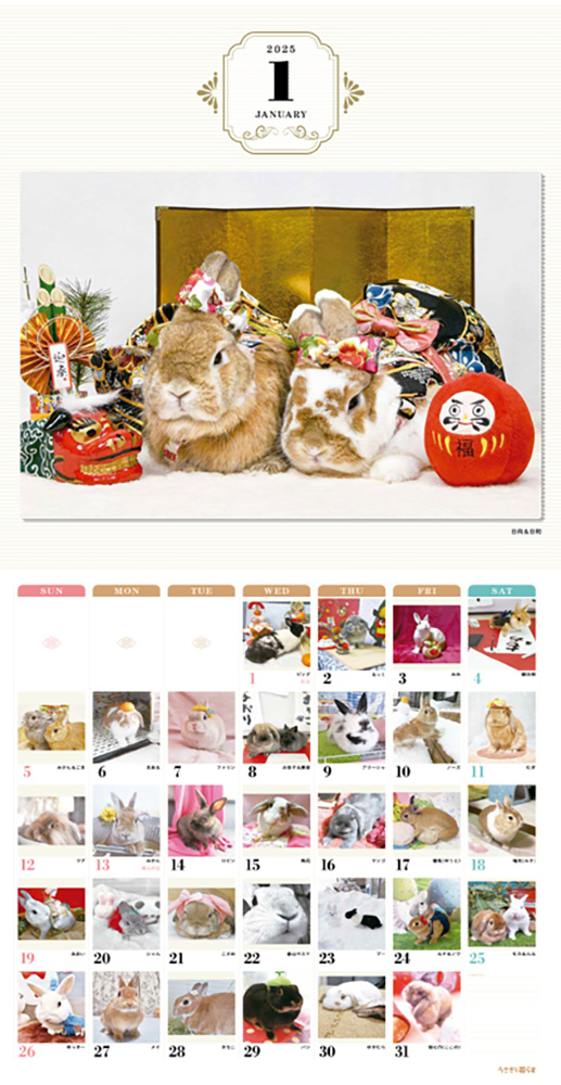 うさぎと暮らすCALENDAR2025【2025年版カレンダー】 【返品区分B】の画像