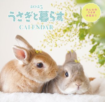 うさぎと暮らすCALENDAR2025【2025年版カレンダー】 【返品区分B】の画像