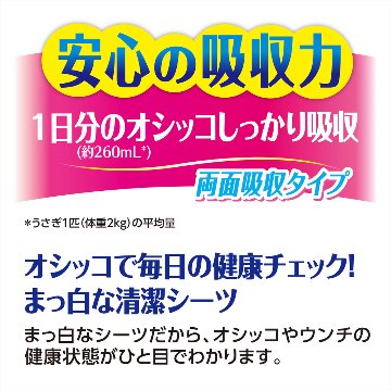 ジェックス ヒノキア三角トイレシーツ【22枚入】 【返品区分B】 の画像