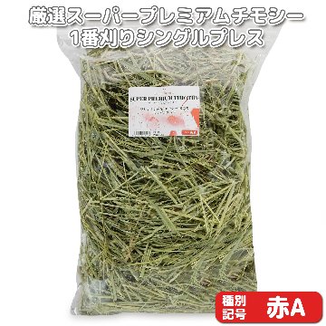 うさぎ専門店MOON RABBIT | 静岡県浜松市浜名区にある専門店です。