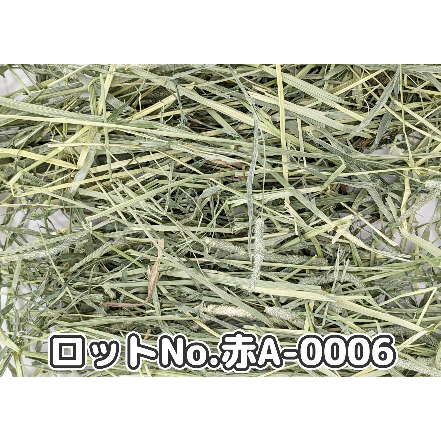 【送料無料(沖縄県・離島は除く)】牧草の粉が少ない厳選スーパープレミアムチモシー1番刈り シングルプレス 【赤A】 1,000g(500g×2袋セット) (ロットNo.赤A-0006) 【返品区分A】の画像