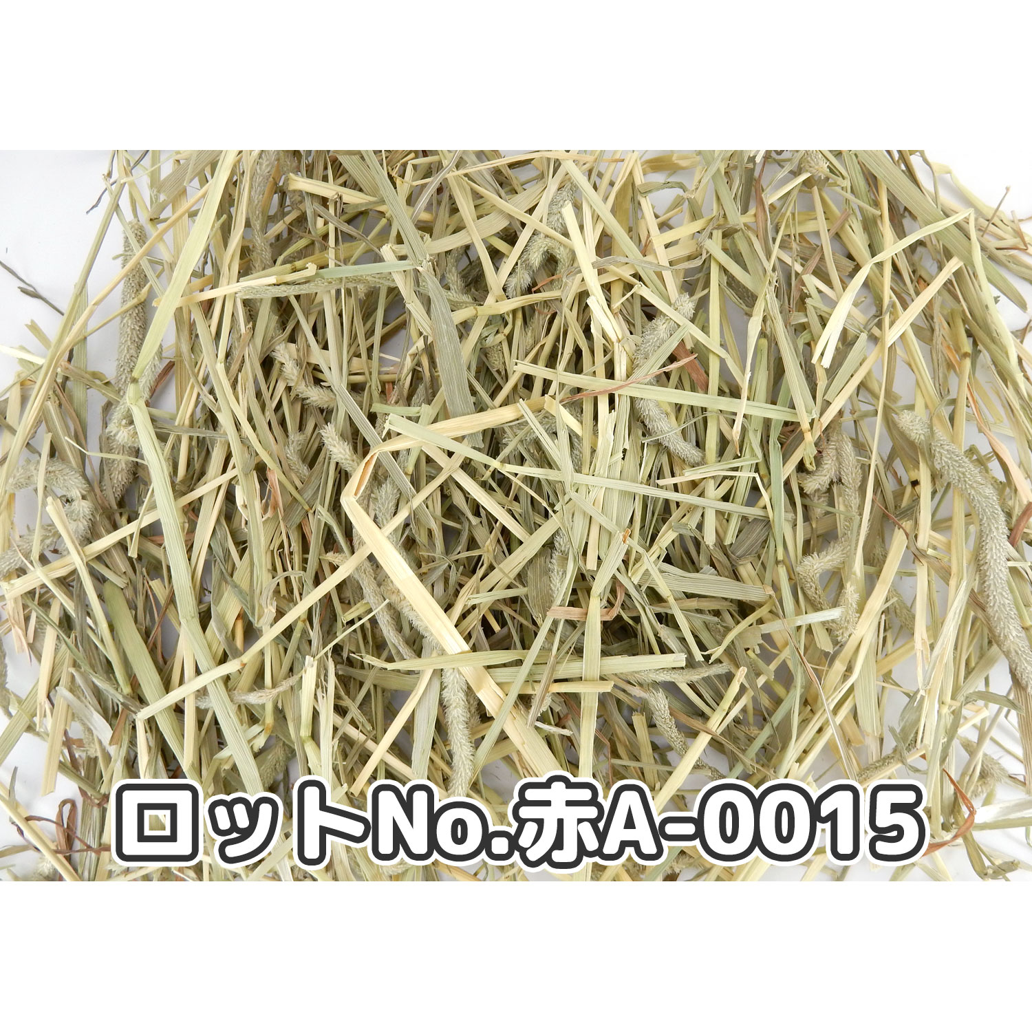 『牧草の粉が少ない』 厳選スーパープレミアムチモシー1番刈り シングルプレス 【赤A】 2,000g(500g×4袋セット) (ロットNo.赤A-0015) 【返品区分A】の画像