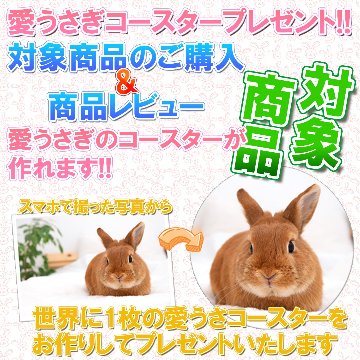 『牧草の粉が少ない』 USプレミアムチモシー1番刈り ダブルプレス ワシントン州【緑C】 500g×1袋 (ロットNo.緑C-0001) 【愛うさぎのコースタープレゼント対象商品】 【返品区分A】の画像