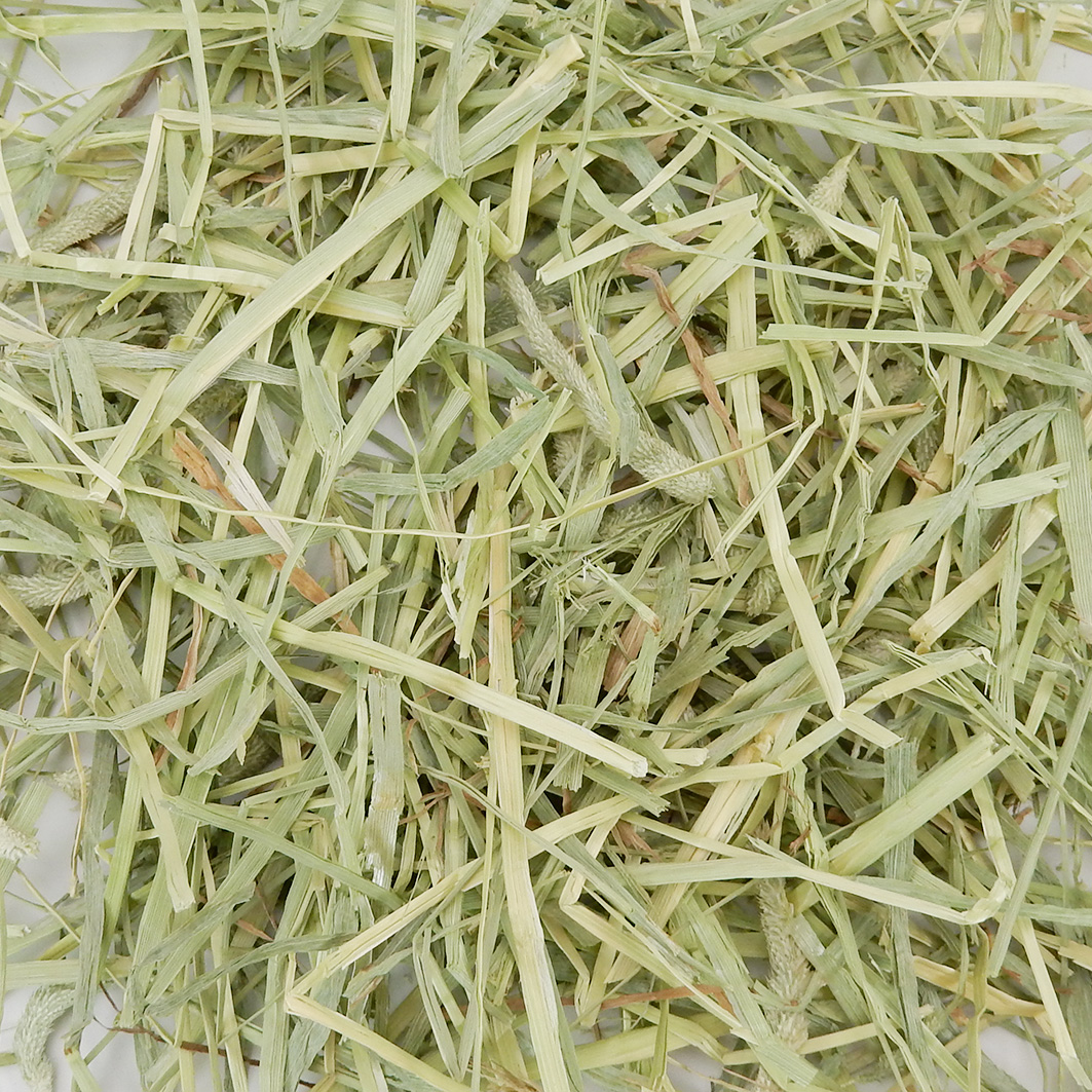 『牧草の粉が少ない』 USプレミアムチモシー1番刈り ダブルプレス アイダホ州【紫F】 500g×1袋 (ロットNo.紫F-0001) 【愛うさぎのコースタープレゼント対象商品】 【返品区分A】の画像