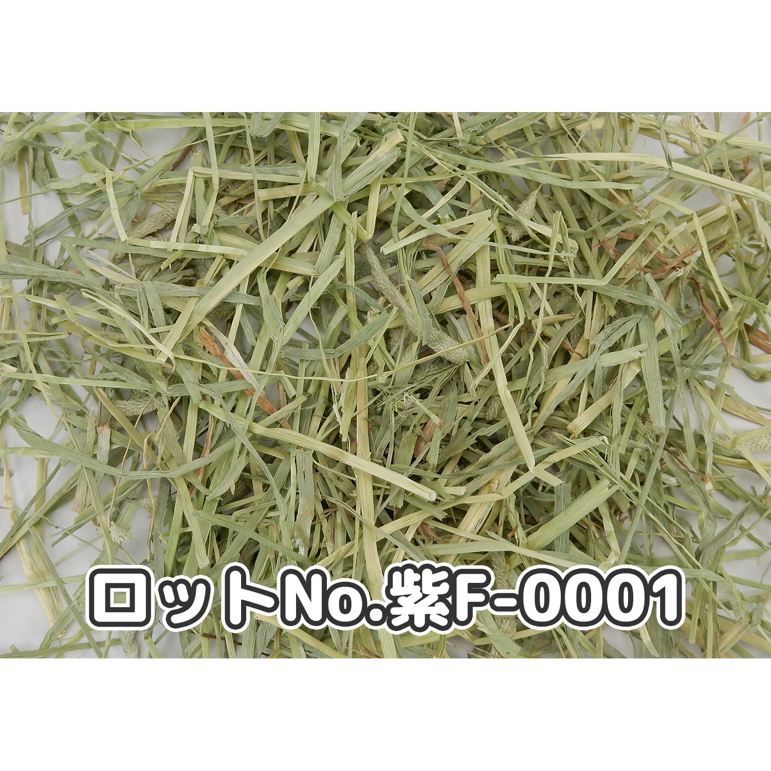 『牧草の粉が少ない』 USプレミアムチモシー1番刈り ダブルプレス アイダホ州【紫F】 500g×1袋 (ロットNo.紫F-0001) 【愛うさぎのコースタープレゼント対象商品】 【返品区分A】の画像